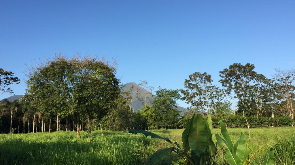 La Fortuna Hotel Tangara Arenal B&B المظهر الخارجي الصورة